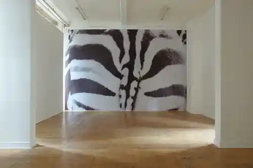 Large black-and-white photo of zebra stripes covering a wall in an art exhibition space.