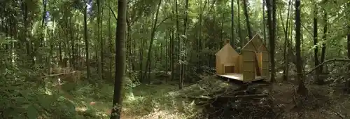 Wooden house structure in a lush forest setting, blending harmoniously with the natural surroundings.