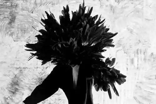 Figure with a head made of black feathers, standing against an abstract background.